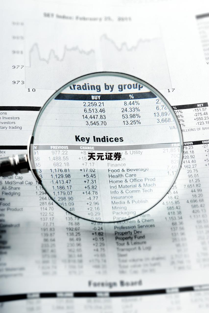关于股票里怎么用杠杆的信息